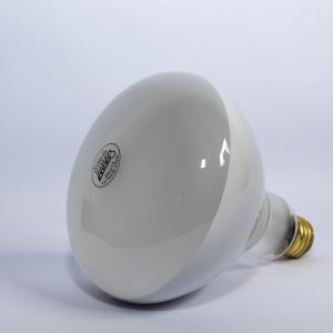 Bombillo Reflector Pentair